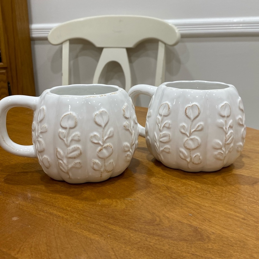 NWOT.  Potter’s Studio, set of 2, 16oz., ceramic mugs.